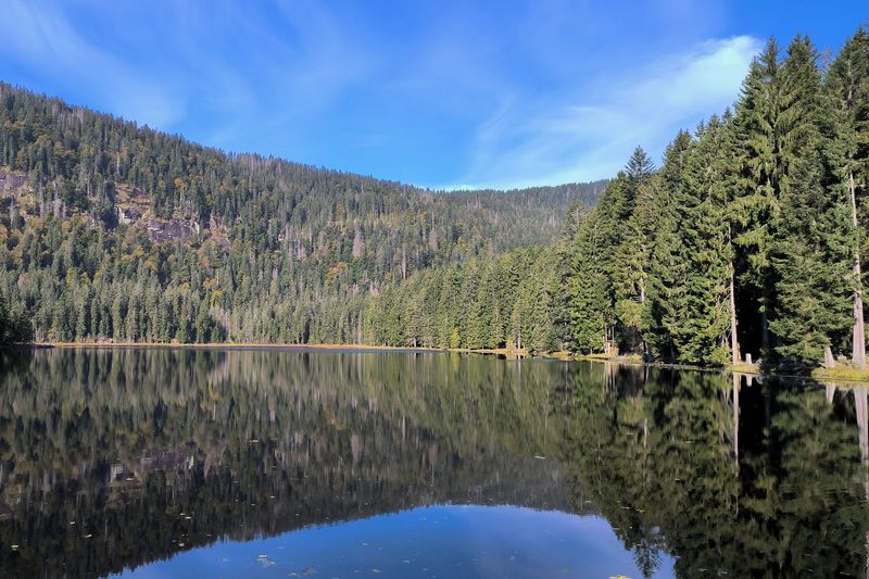 Am Großen Arbersee steigen wir aus